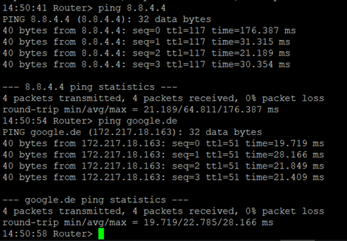 Ping Command