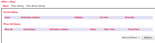 ipsec extern